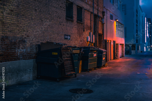 Canvas Print street at night