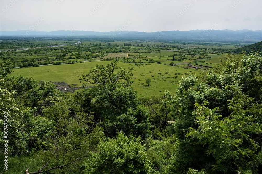 Obraz premium Green valley on a Sunny summer day. Alazani valley in Georgia