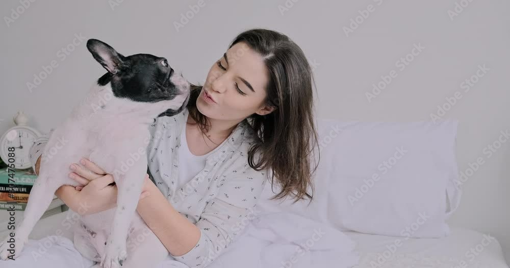 Woman in bed with dog. Caucasian girl, French bulldog, Kissing. Wide shot. With copy space. Woman in bed with dog. Caucasian girl, French bulldog, Kissing. Wide shot. With copy space.