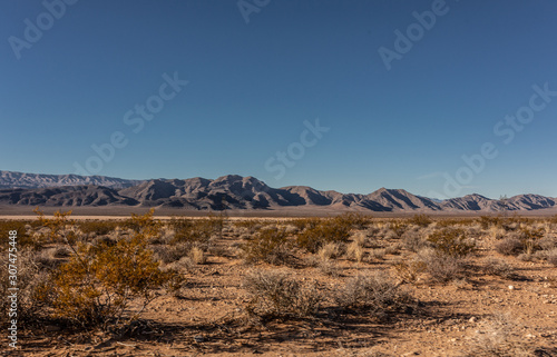 view of desert