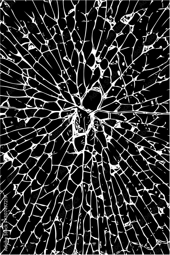 Obraz premium Cracked