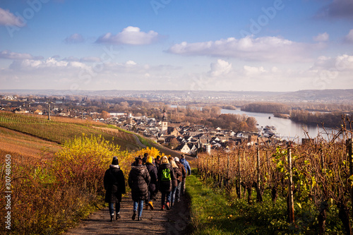 Weinwanderung Rüdesheim
