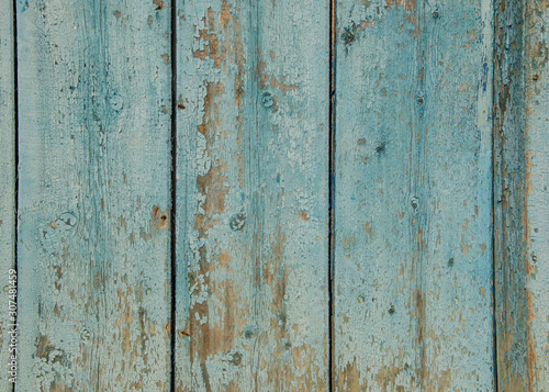 Blue wooden wall, old wood planks texture, grunge background, abstract interior design © Len0r