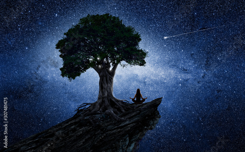 Yoga woman under a tree in front of the universe © quickshooting