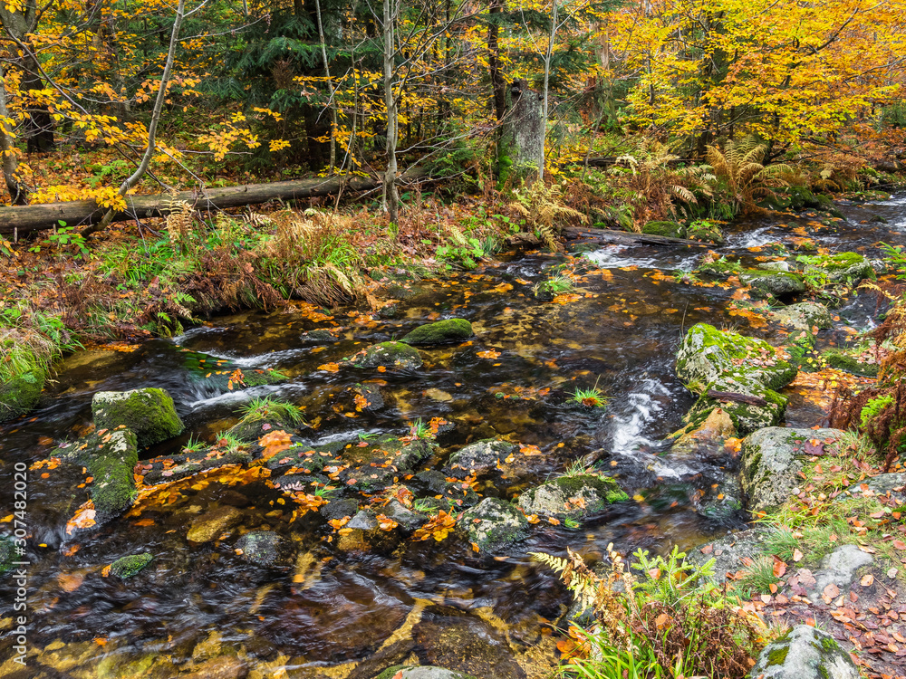 Die kleine Ohe im Nationalpark Bayerischer Wald Die kleine Ohe im Nationalpark Bayerischer Wald