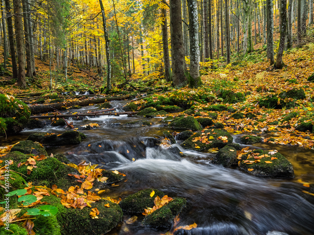 Die kleine Ohe im Nationalpark Bayerischer Wald Die kleine Ohe im Nationalpark Bayerischer Wald