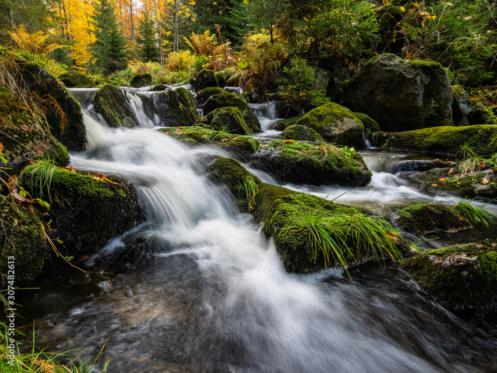 Fototapeta premium Die kleine Ohe im Nationalpark Bayerischer Wald