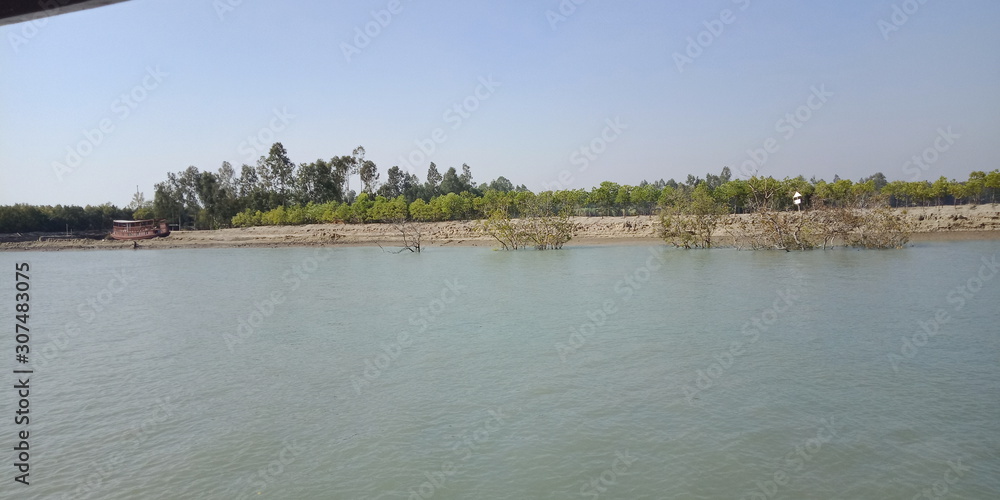 River bank in Sundarban ,India
