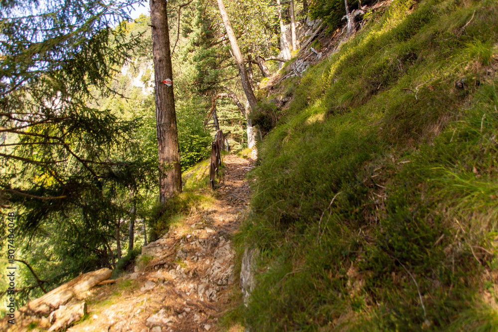 Obraz premium Schweiz 189