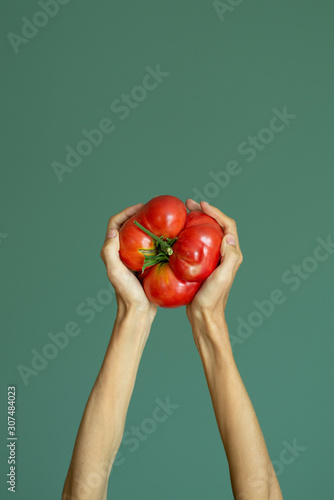 Hand holding tomato
