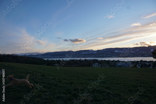 allmend in zollikon in der schweiz photo