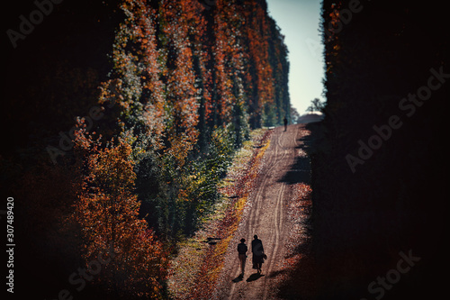 Autumn park alley with silh...