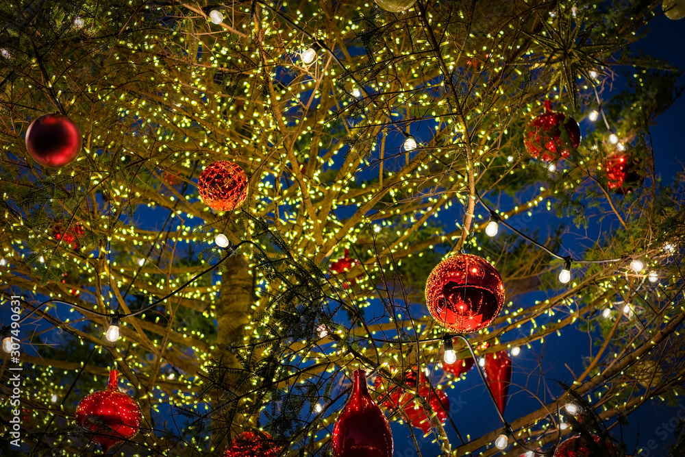 Yokohama Christmas Tree
