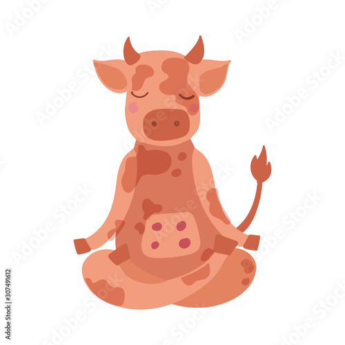 Cartoon cow performing yoga exercise. Drawing animal character sitting in lotus posture and meditating vipassana 