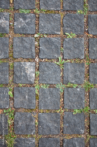 Granite paving stones with grass in the city top view. Stones paved road for vertical backgrounds and textures. Old granite cobblestone road.