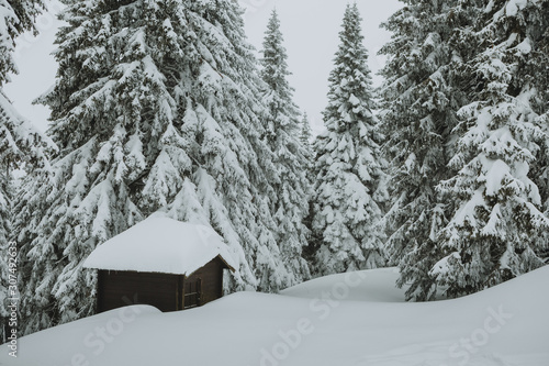 Lonely abandoned wooden cottage in winter coniferous forest with big layer of snow everywhere © Tomáš Hudolin