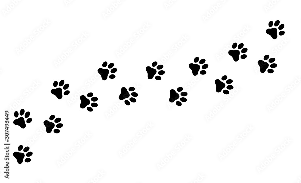 Fototapeta Paw print cat, dog, puppy pet trace. Flat style - stock vector.