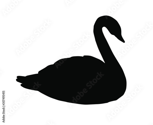 Vector black swan silhouette isolated on white background © Sweta