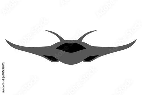 Airplane icon. Unknown flying object. Front view. Vector drawing. Isolated on a white background. Isolate.