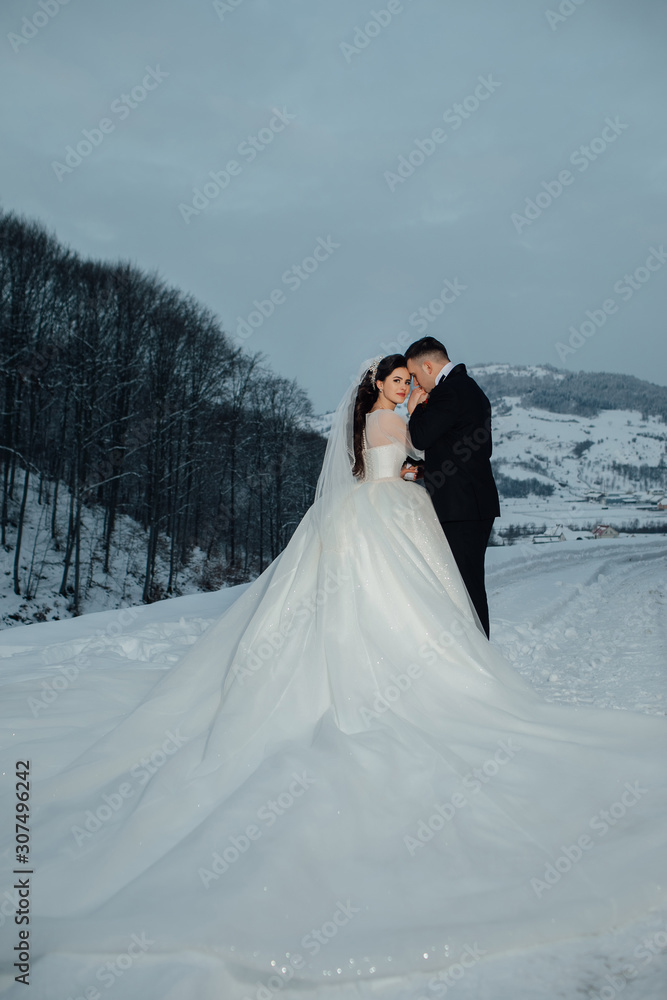 Beautiful wedding couple. Winter wedding of the groom in a beautiful suit and the bride in a beautiful wedding dress. Winter photo shoot newlyweds. Beautifull wedding couple kissing and embracing