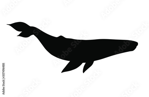 Obraz na płótnie Vector black blue whale silhouette isolated on white background