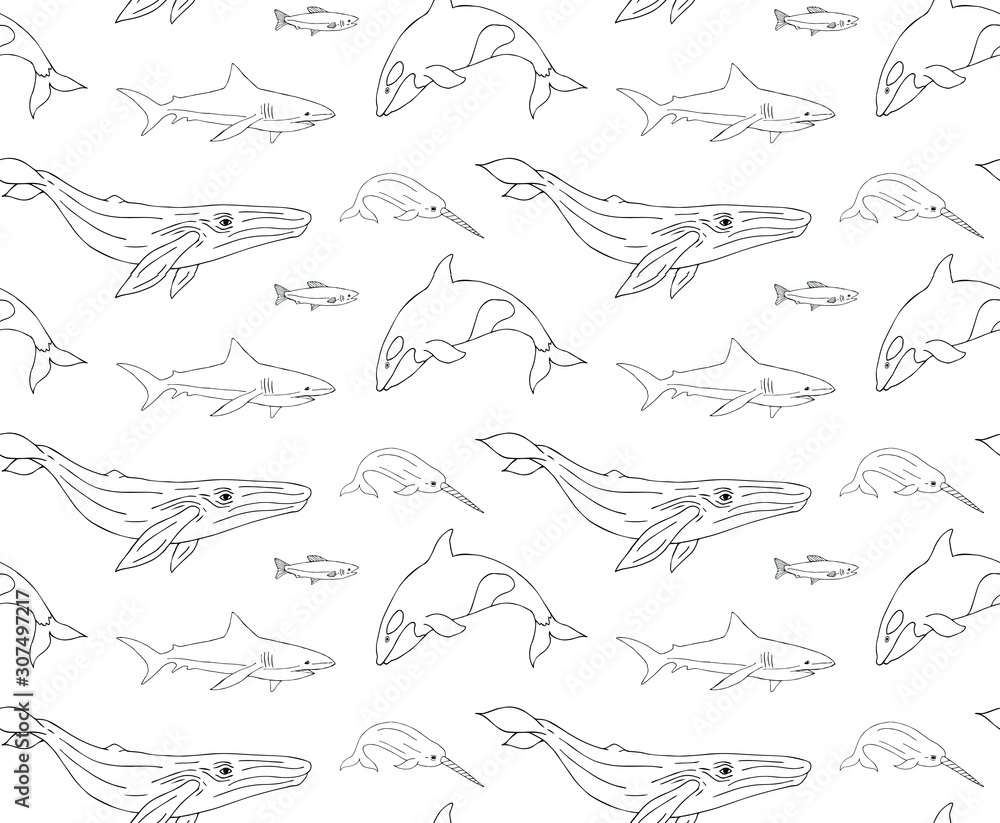 Fototapeta premium Vector seamless pattern of hand drawn doodle sketch fish whales and sharks isolated on white background
