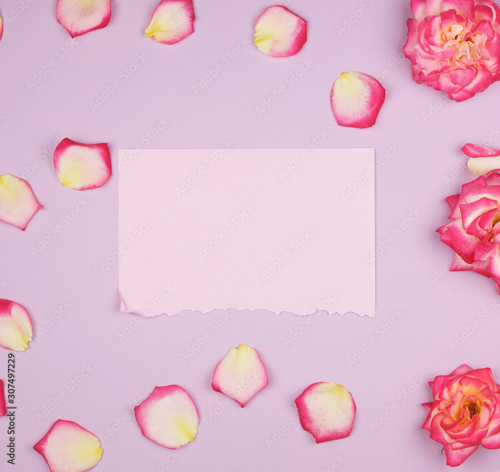 empty pink paper sheet and buds of pink roses, festive background