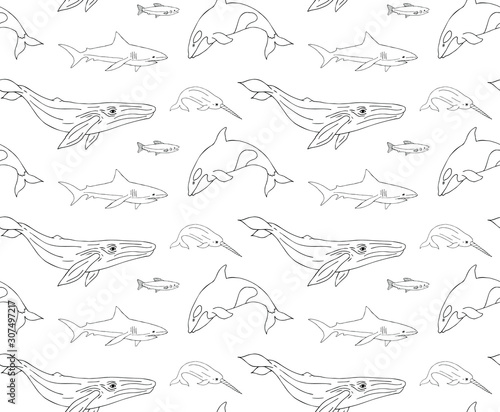 Vector seamless pattern of hand drawn doodle sketch fish whales and sharks isolated on white background