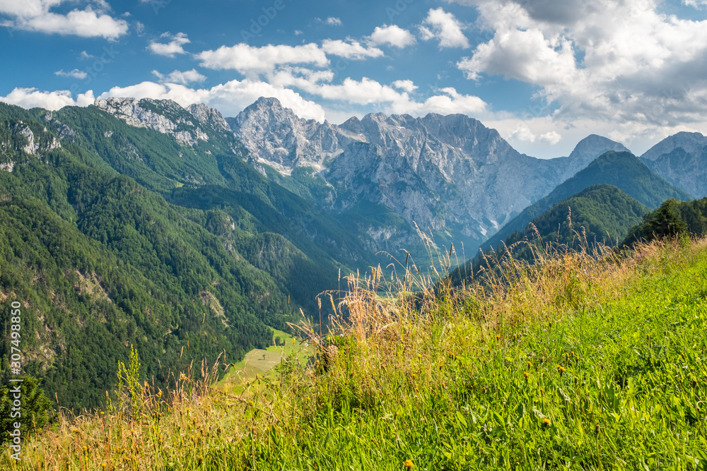 Fototapeta premium Widok na dolinę Logarską do Kamnika - Alp Savinja w Słowenii