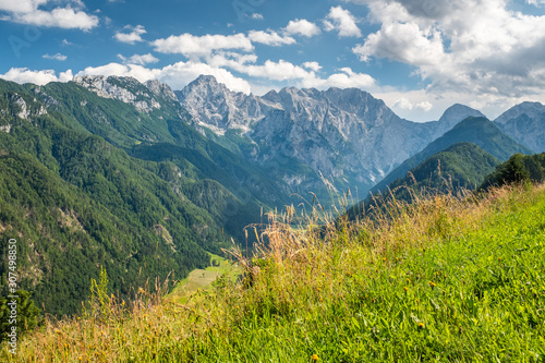 View over Logarska valley to Kamnik   Savinja Alps in Slovenia