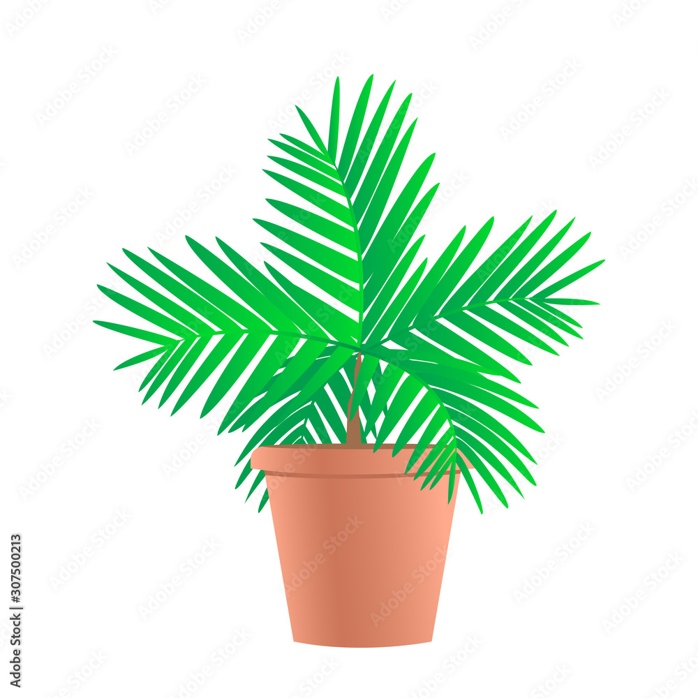 Green areca palm tree in a pot. Decoration of the interior of the house, cafe and office. Vector isolated illustration for design. Green areca palm tree in a pot. Decoration of the interior of the house, cafe and office. Vector isolated illustration for design.