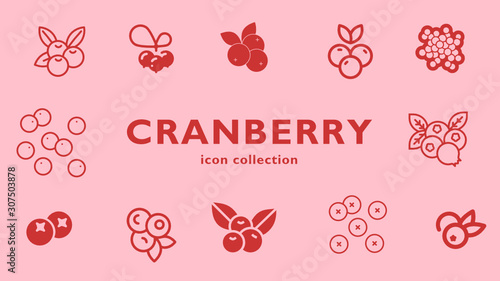 cranberry icon collection (vector fruits)