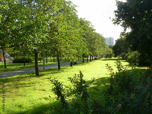 Dusseldorf park