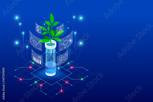 Isometric concept of laboratory exploring new methods of plant breeding and agricultural genetics. Plants growing in the test tubes.