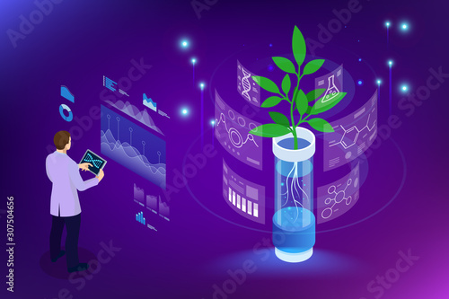 Isometric concept of laboratory exploring new methods of plant breeding and agricultural genetics. Plants growing in the test tubes.