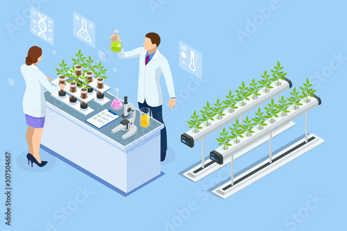 Isometric concept of laboratory exploring new methods of plant breeding and agricultural genetics. Plants growing in the test tubes.