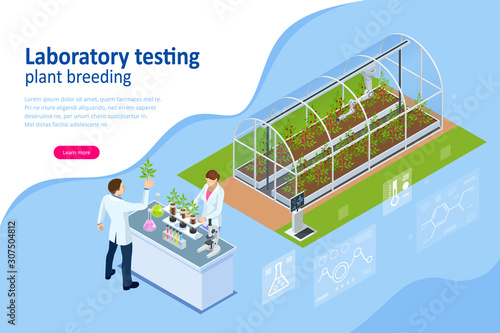 Isometric concept of laboratory exploring new methods of plant breeding and agricultural genetics. Plants growing in the test tubes.