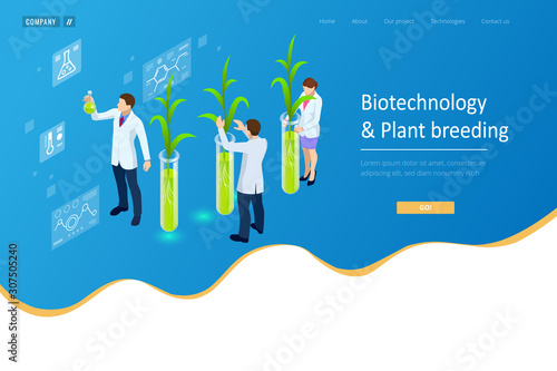 Isometric concept of laboratory exploring new methods of plant breeding and agricultural genetics. Plants growing in the test tubes.