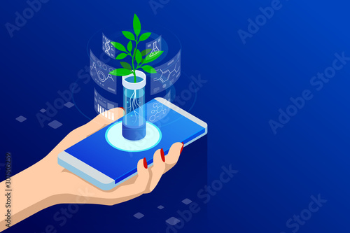 Isometric concept of laboratory exploring new methods of plant breeding and agricultural genetics. Plants growing in the test tubes.