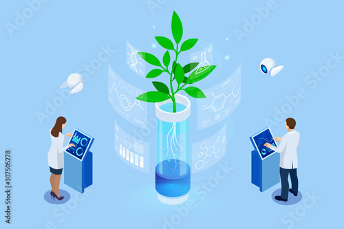 Isometric concept of laboratory exploring new methods of plant breeding and agricultural genetics. Plants growing in the test tubes.