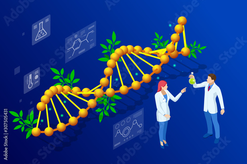 Isometric concept of laboratory exploring new methods of plant breeding and agricultural genetics. Plants growing in the test tubes.