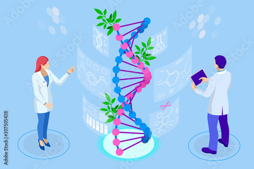 Isometric concept of laboratory exploring new methods of plant breeding and agricultural genetics. Plants growing in the test tubes.