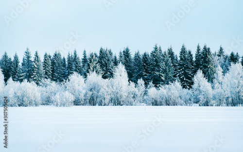 Winter road with snow in Finland. Landscape of Lapland in Europe. Forest along highway during ride. Snowy trip. Cold driveway. Driving in Finnish motorway on north Rovaniemi village. View with tree