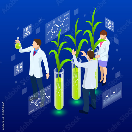 Isometric concept of laboratory exploring new methods of plant breeding and agricultural genetics. Plants growing in the test tubes.