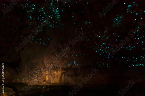 Low angle view of illuminated Arachnocampa luminosa in Waipu cave at New Zealand photo
