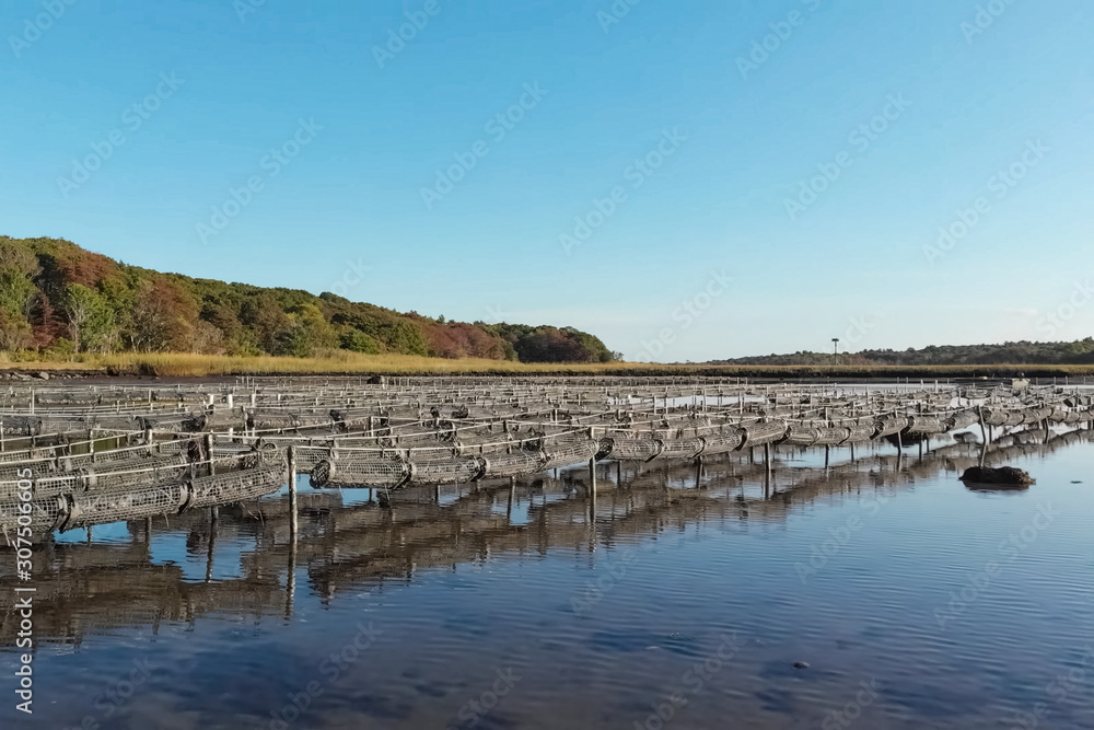 Oyster farm at pond. Cells for growing oysters.