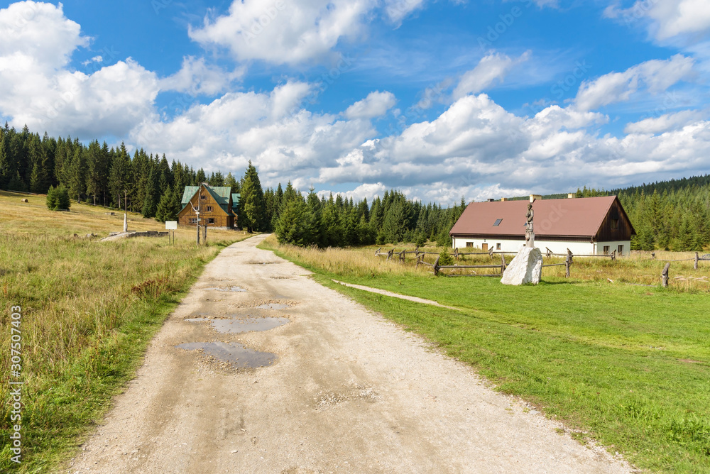 Houses at the forest path in Jizera Mountains Houses at the forest path in Jizera Mountains