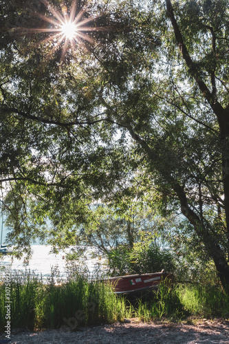 Boat moored on Lake Maggiore by trees during sunny day, Ispra, Italy