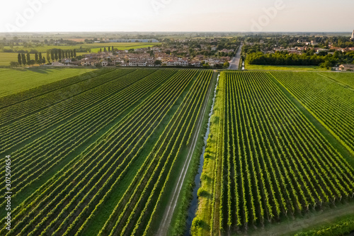 Scenic view of agricultural landscape in Italy