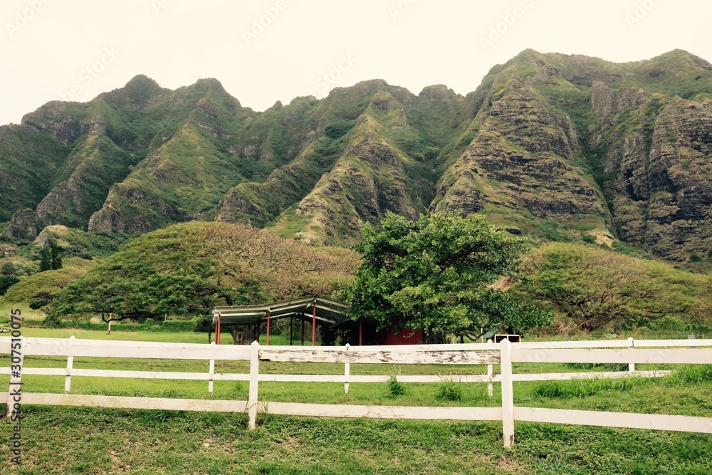 Green Hawaiian Mountains, Oahu